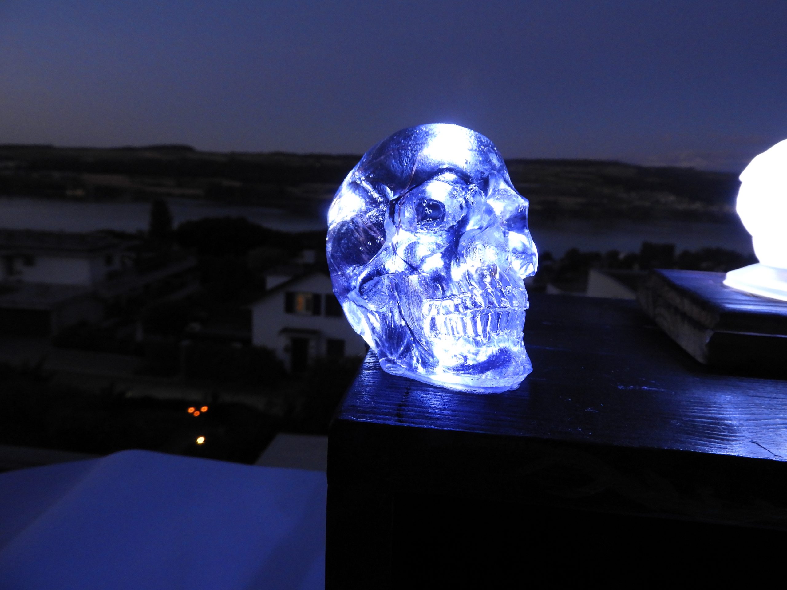 Totenkopf „Fred“ als Lampe – Black Skull